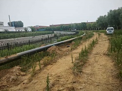 土路.jpg 土路.jpg
